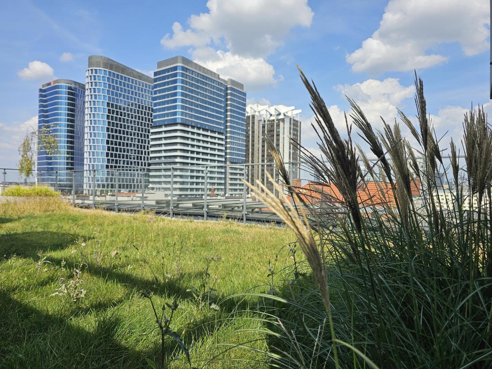 Urban Apartments Premium, Opolska 10 No 36, Free Garage, Self Check-In Κατοβίτσε Εξωτερικό φωτογραφία